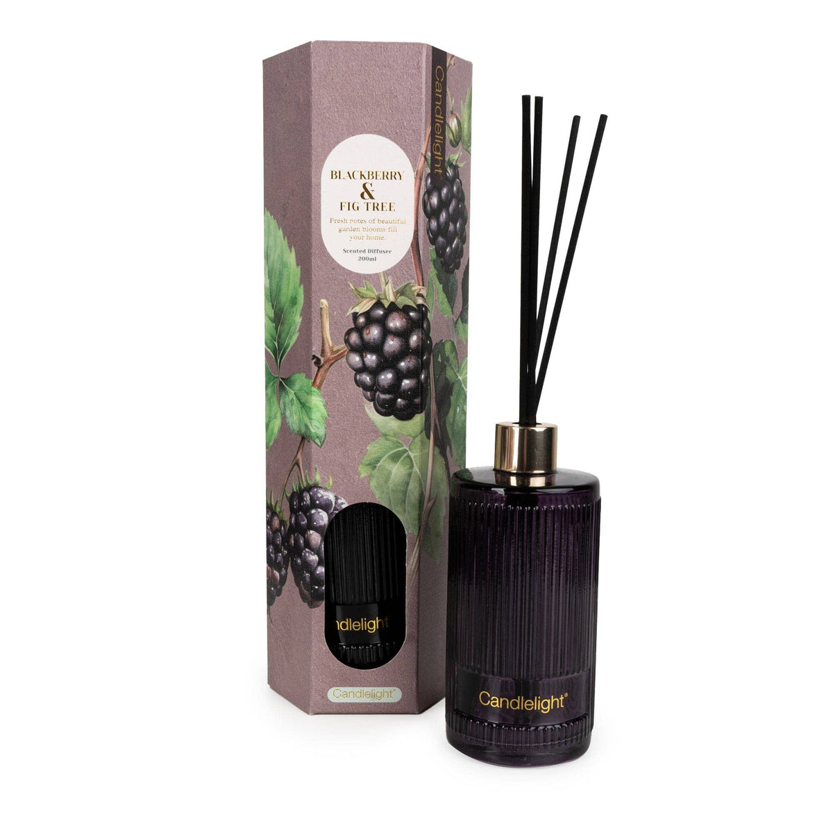 200ml Reed Diffuser - Blackberry & Fig Tree 6PK - Foxyavenue