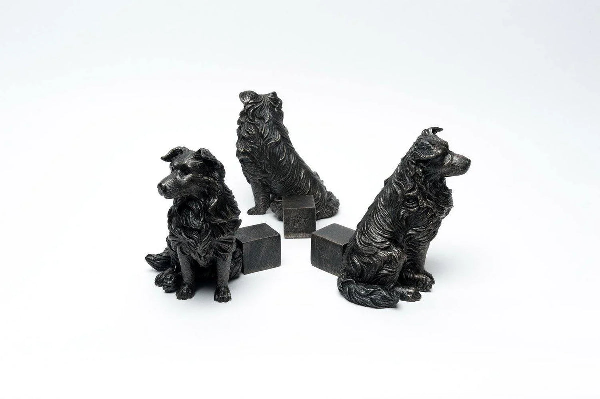 Potty Feet - Border Collie Planter Accessories Foxyavenue UK