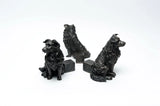 Potty Feet - Border Collie Planter Accessories Foxyavenue UK