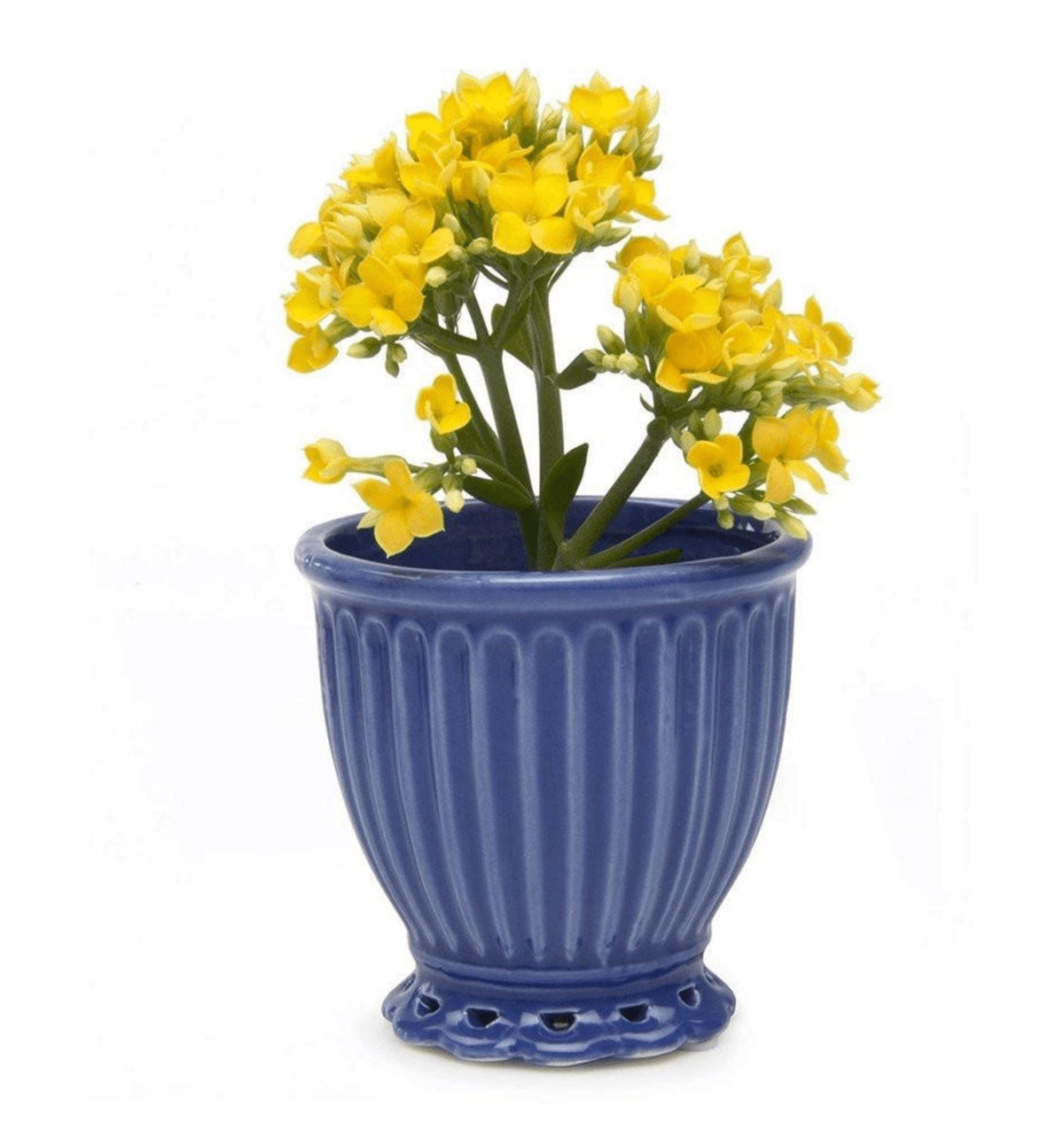 Brilliant Decorative Pot - Blue Pots Foxyavenue UK