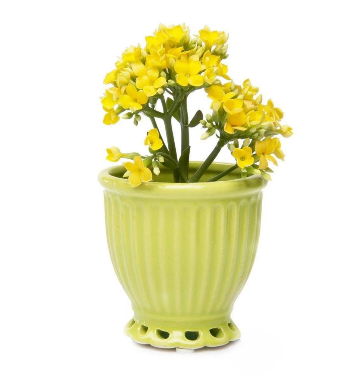 Brilliant Decorative Pot - Peridot Pots Foxyavenue UK