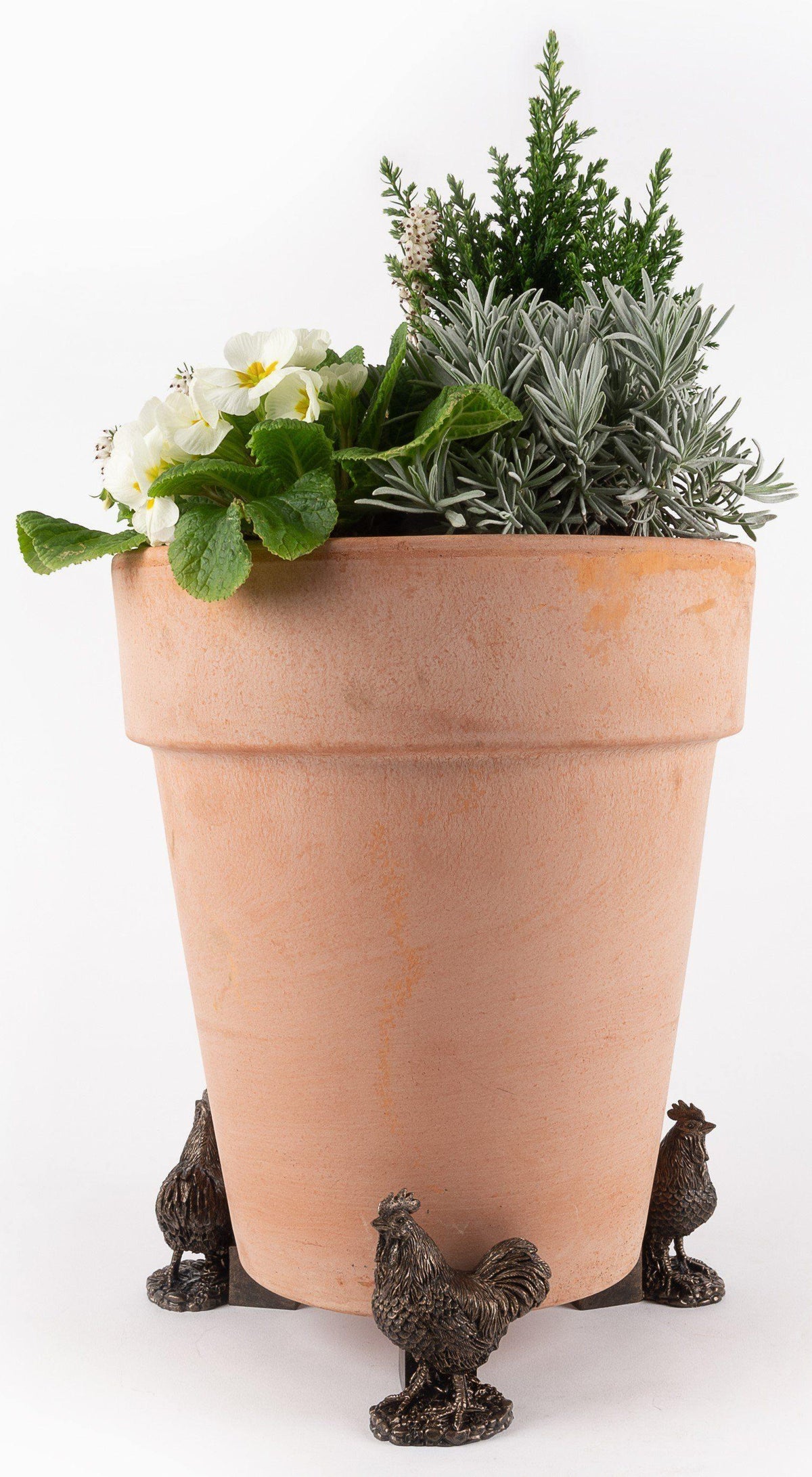 Potty Feet - Bronze Buff Orpington Chicken Planter Accessories Foxyavenue UK