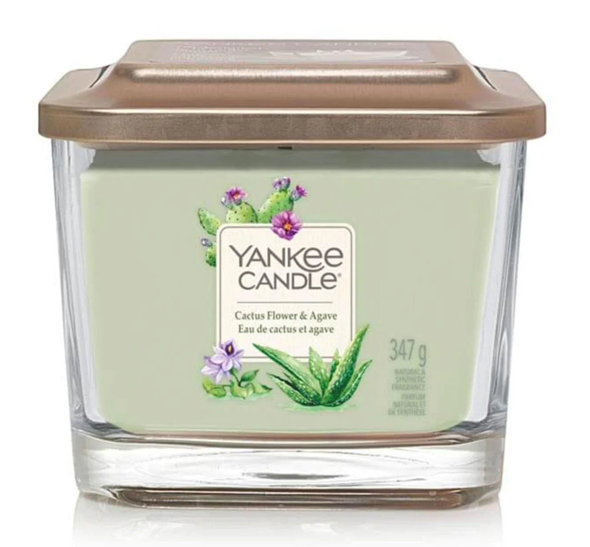 Cactus Flower And Agave Candles Foxyavenue UK