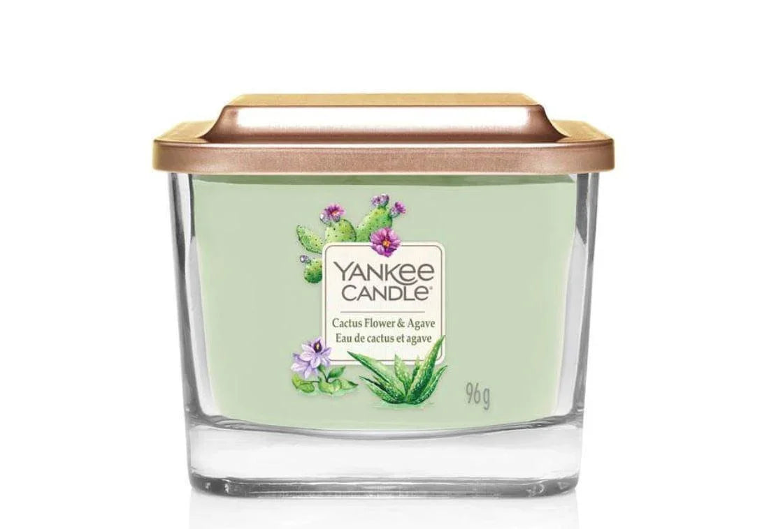 Cactus Flower And Agave Candles Foxyavenue UK