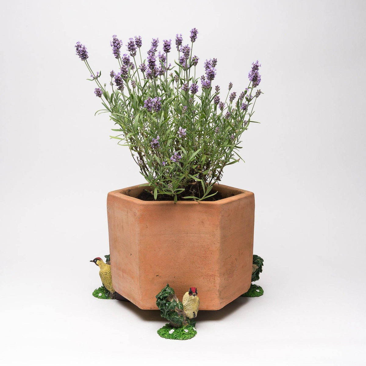 Potty Feet - Green Woodpecker Planter Accessories Foxyavenue UK