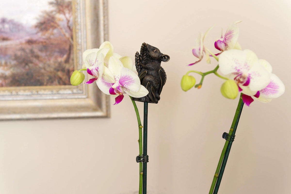 Cane Companion - Harvest Mouse Planter Accessories Foxyavenue UK