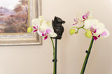 Cane Companion - Harvest Mouse Planter Accessories Foxyavenue UK