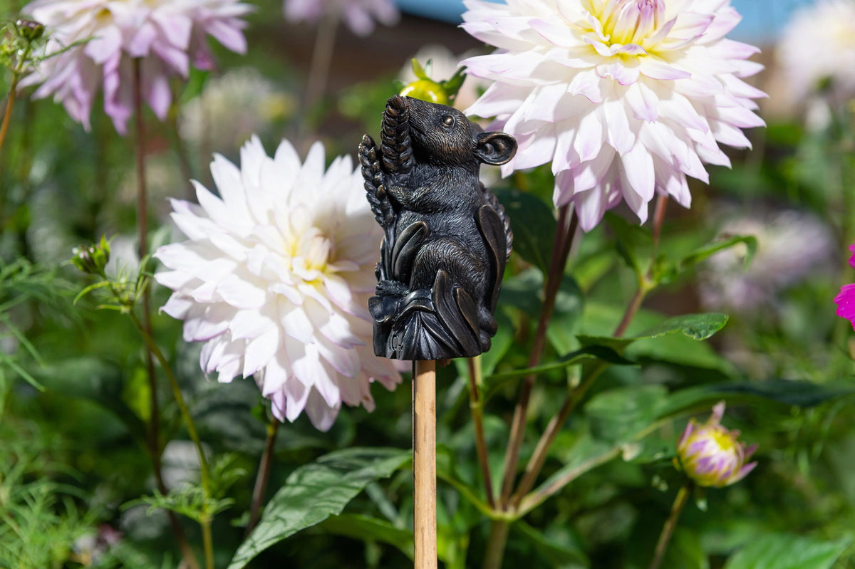 Cane Companion - Harvest Mouse Planter Accessories Foxyavenue UK