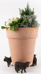 Potty Feet - Highland Cow Planter Accessories Foxyavenue UK