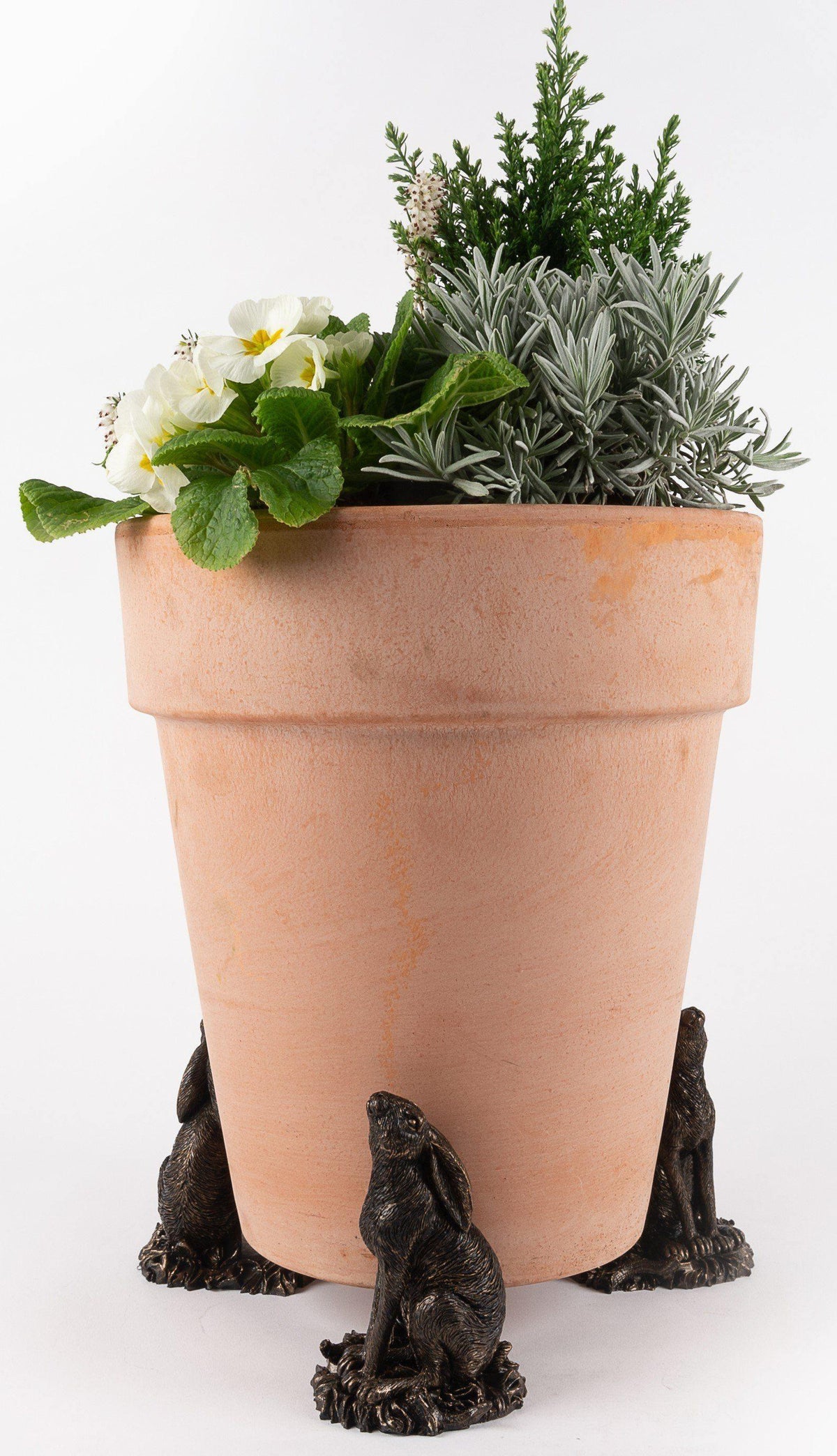 Potty Feet - Moongazing Hare Planter Accessories Foxyavenue UK