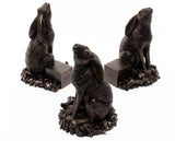 Potty Feet - Moongazing Hare Planter Accessories Foxyavenue UK