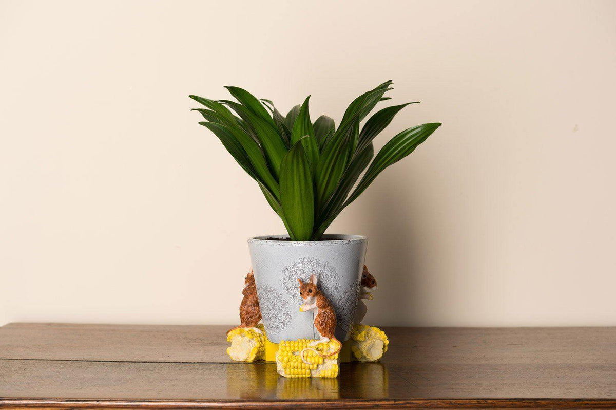 Potty Feet - Mouse On Corn Planter Accessories Foxyavenue UK