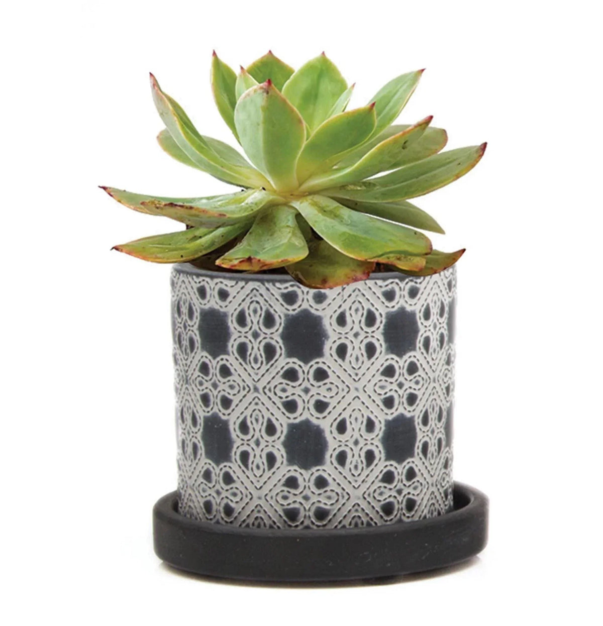 Pot with Drainage - Black Lattice Pots Foxyavenue UK
