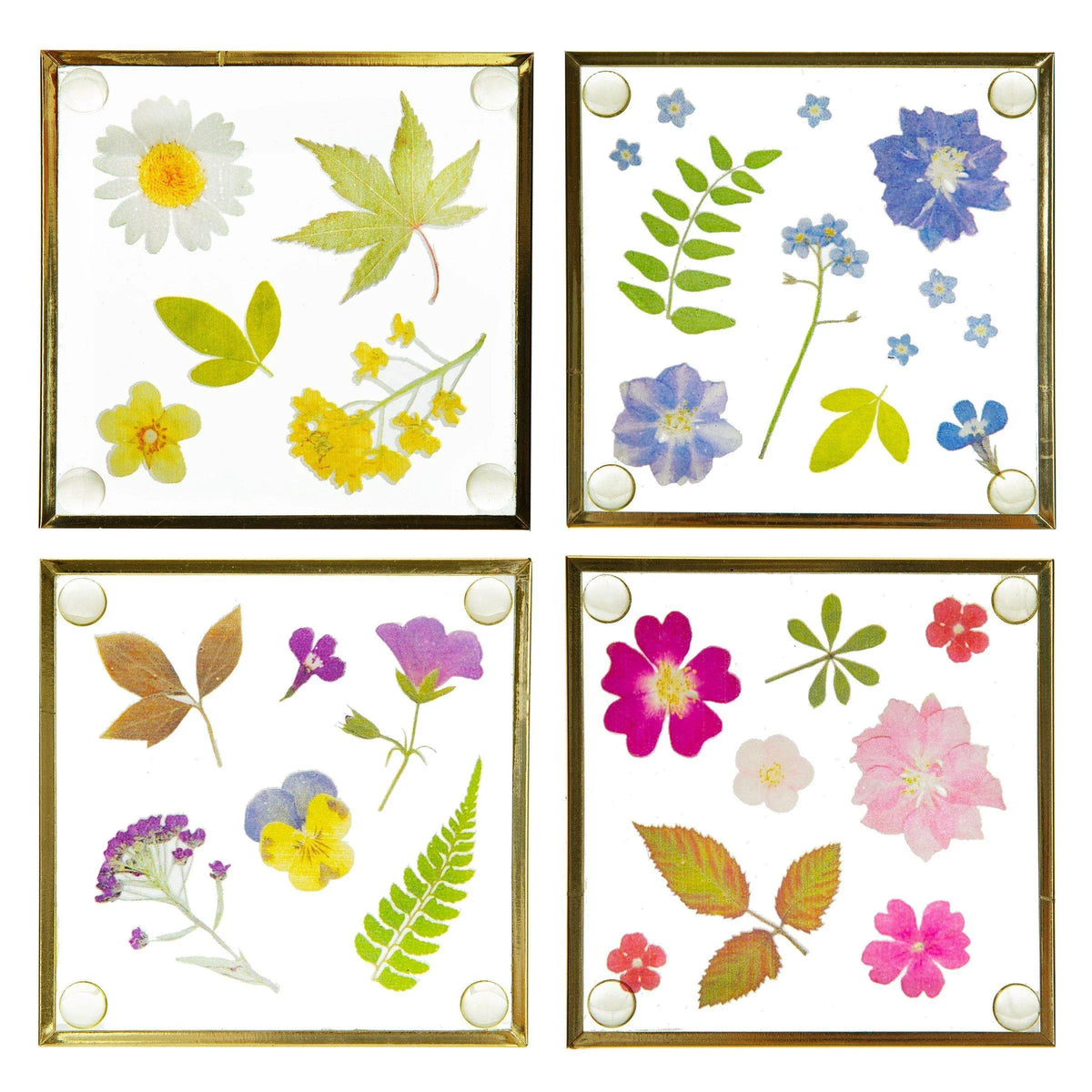 Pressed Flowers Glass Coasters Coasters Foxyavenue UK