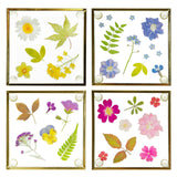 Pressed Flowers Glass Coasters Coasters Foxyavenue UK