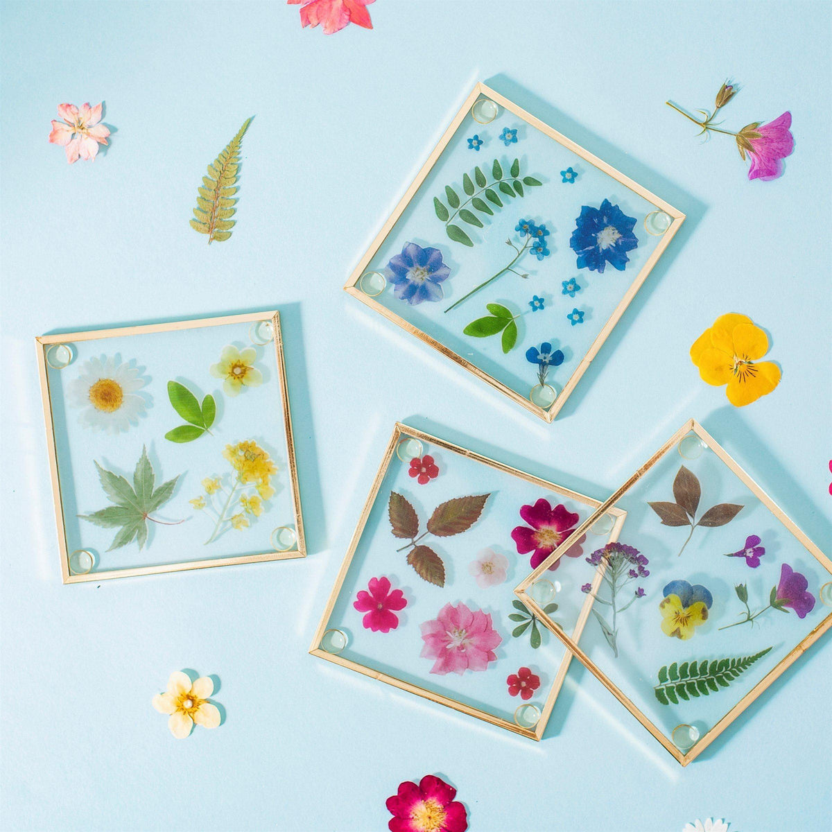 Pressed Flowers Glass Coasters Coasters Foxyavenue UK
