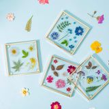 Pressed Flowers Glass Coasters Coasters Foxyavenue UK