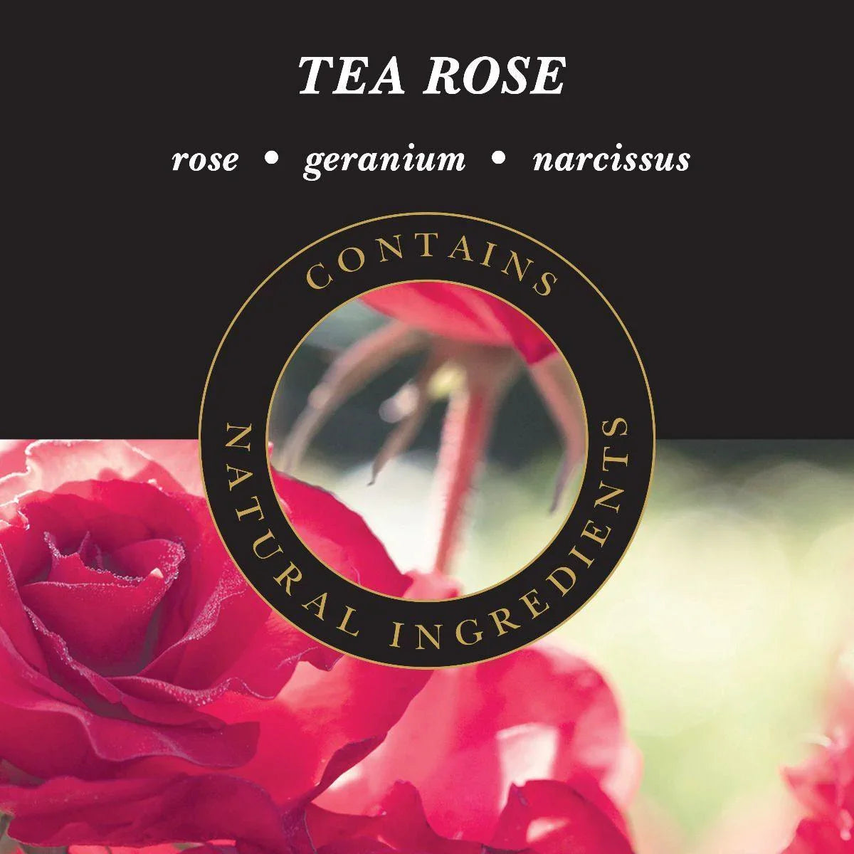 The Scented Home: Reed Diffuser - Tea Rose Diffusers Foxyavenue UK